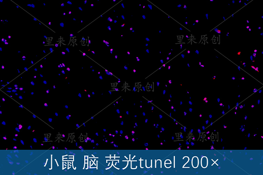 sunbet(й)ٷվ