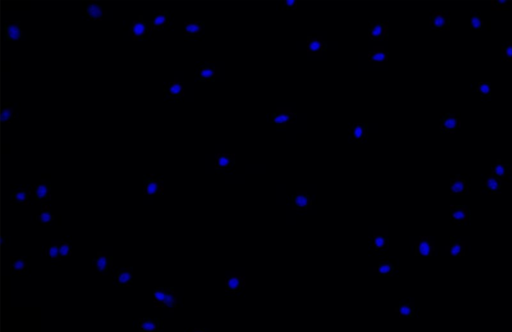 sunbet(й)ٷվ